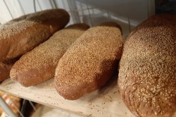 boerenland_brood